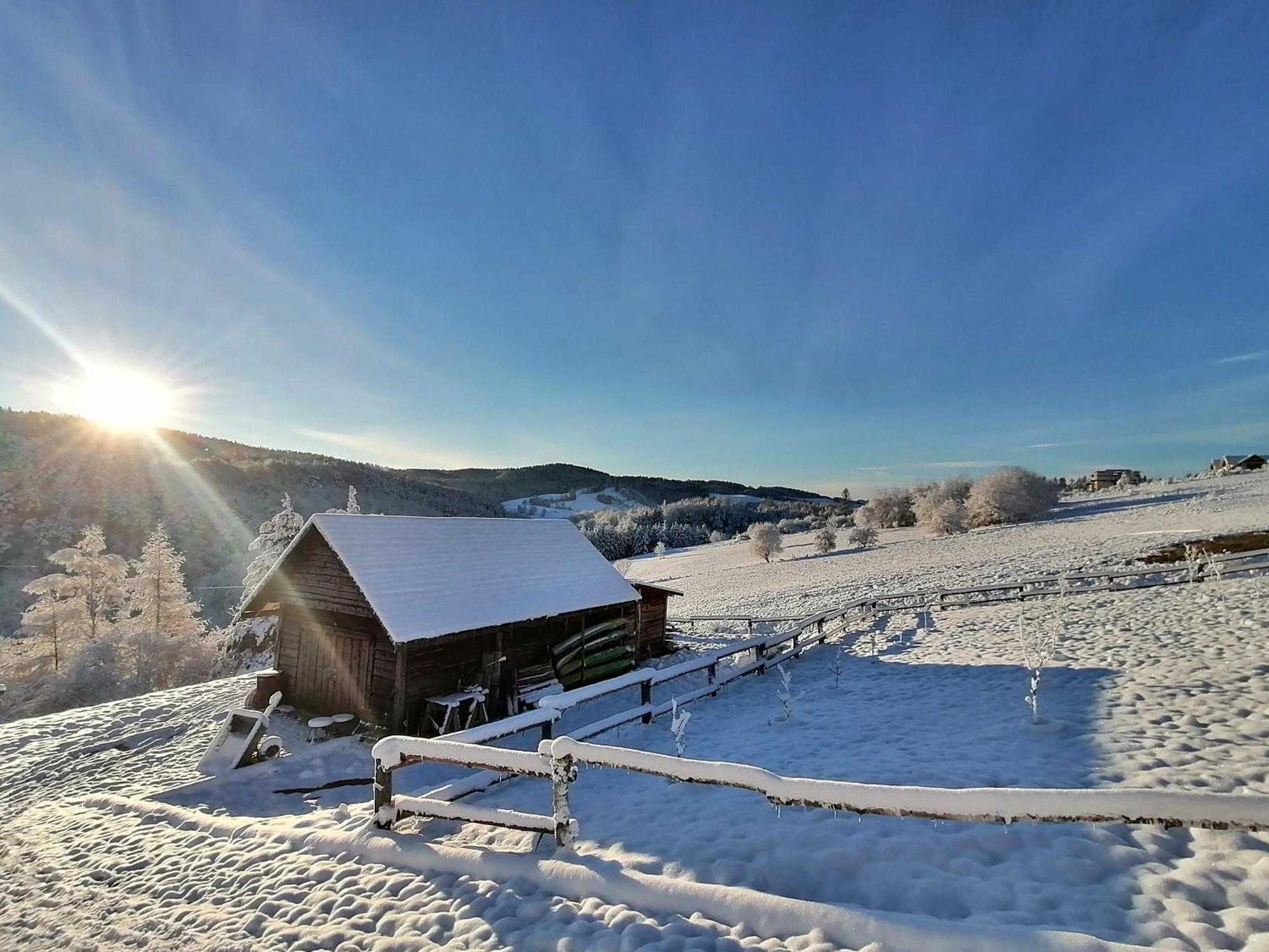 Chata W Bieszczadzie Apartamenty I Domki Z Sauna Bieszczady Polańczyk Exterior foto