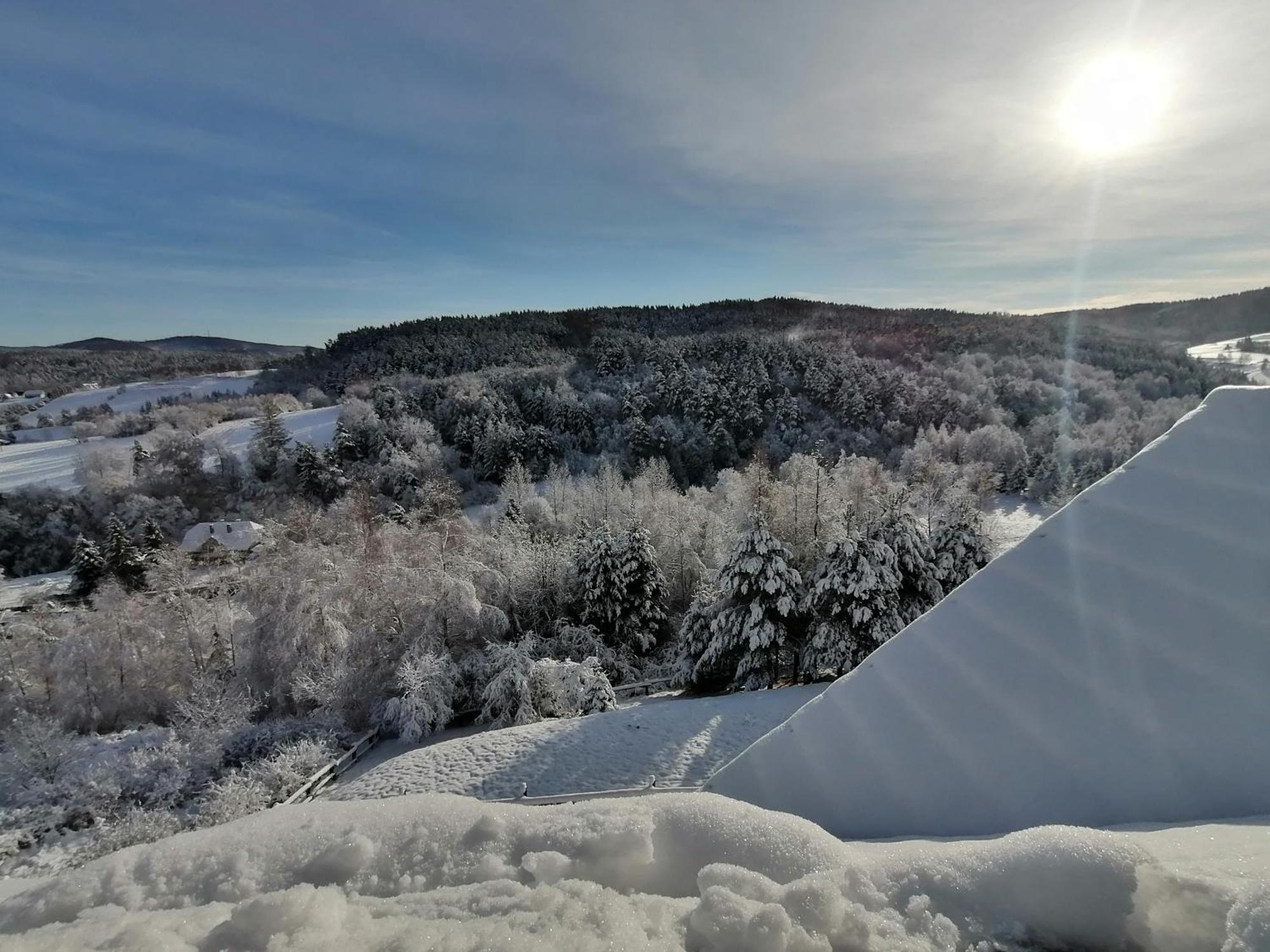 Chata W Bieszczadzie Apartamenty I Domki Z Sauna Bieszczady Polańczyk Exterior foto
