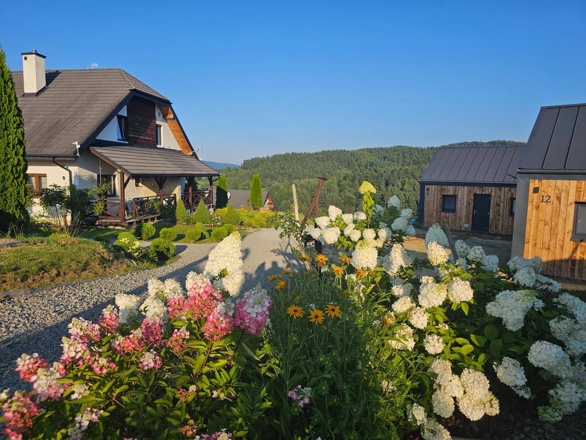 Chata W Bieszczadzie Apartamenty I Domki Z Sauna Bieszczady Polańczyk Exterior foto