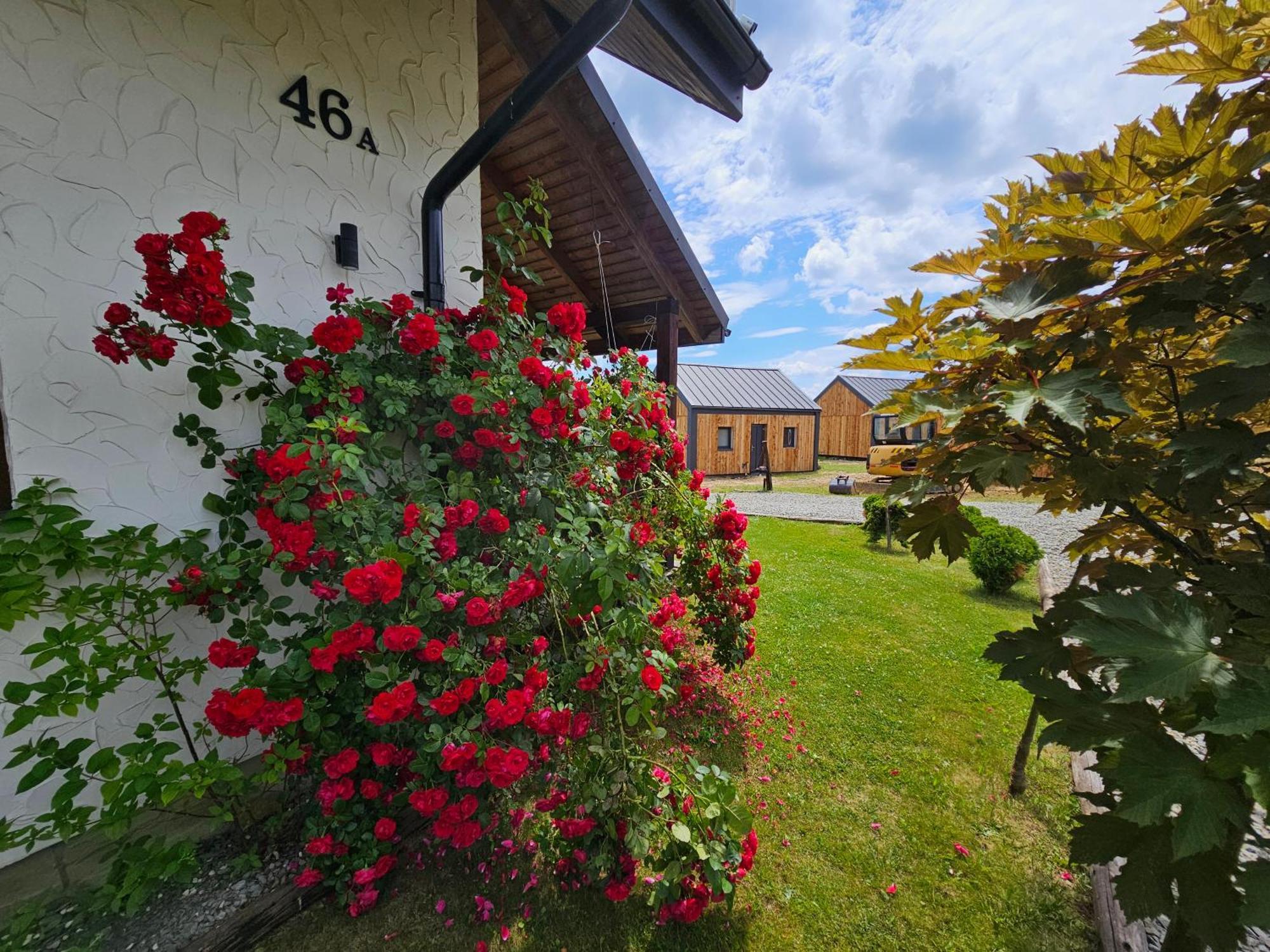 Chata W Bieszczadzie Apartamenty I Domki Z Sauna Bieszczady Polańczyk Exterior foto